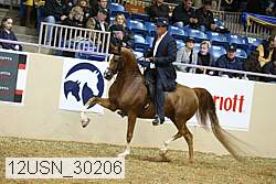12usn_30206 proof