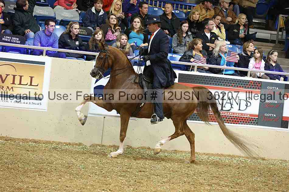 Proof 12usn_30207
