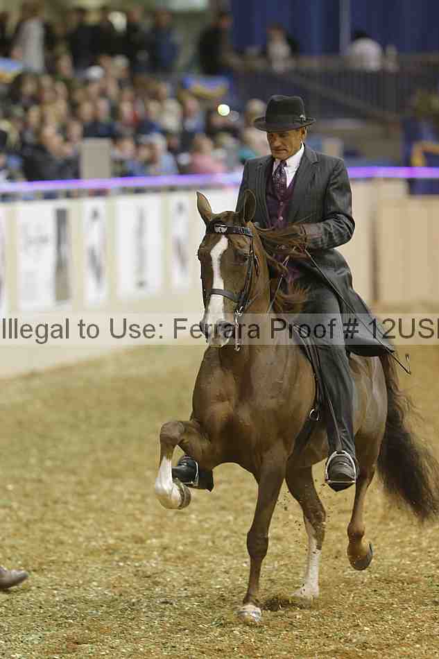 Proof 12usn_30211