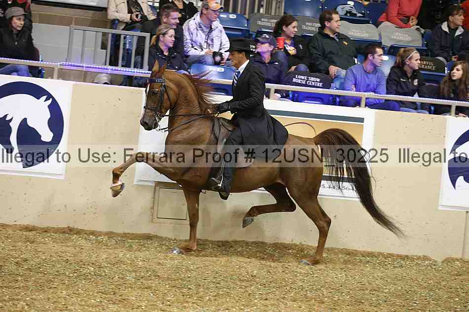 Proof 12usn_30225