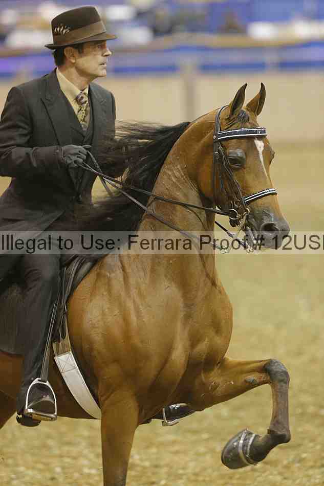 Proof 12usn_30228