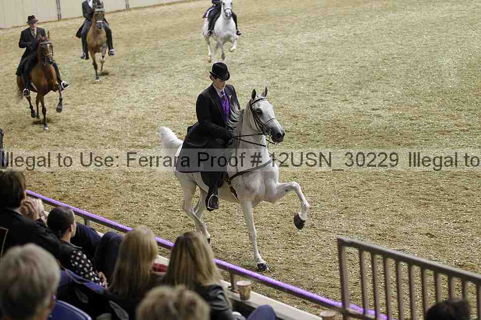 Proof 12usn_30229