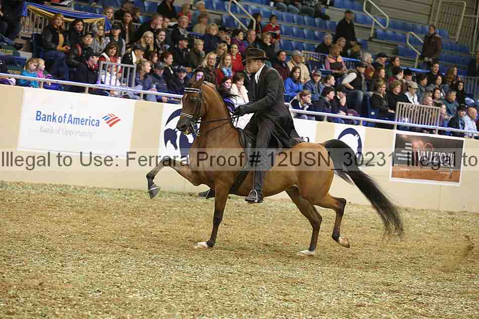 Proof 12usn_30231