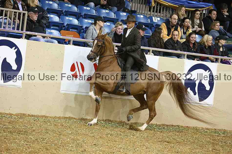 Proof 12usn_30232