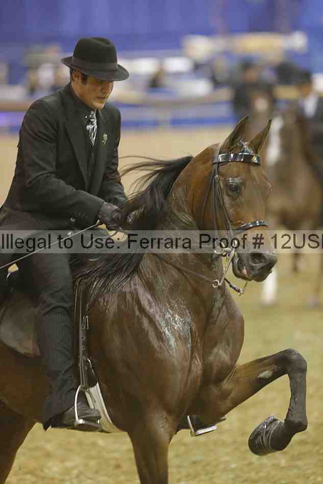 Proof 12usn_30234