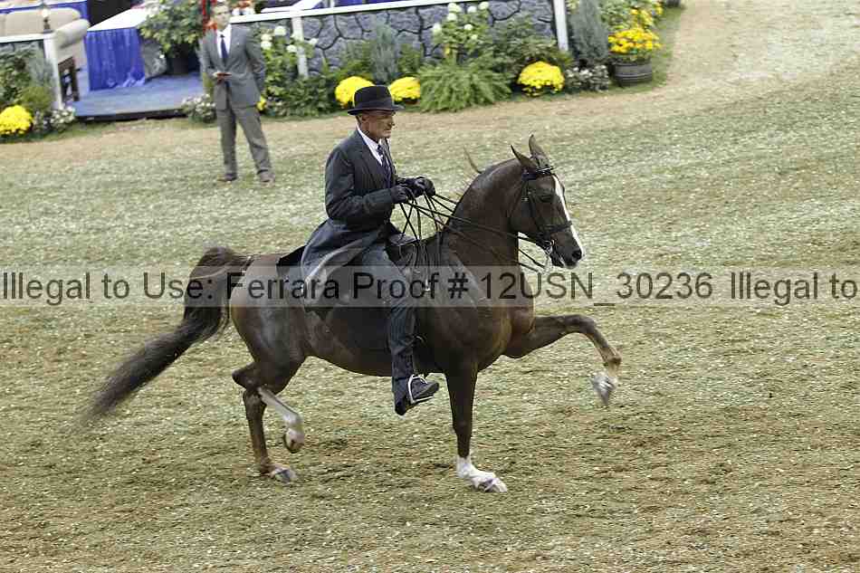 Proof 12usn_30236