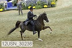 12usn_30236 proof