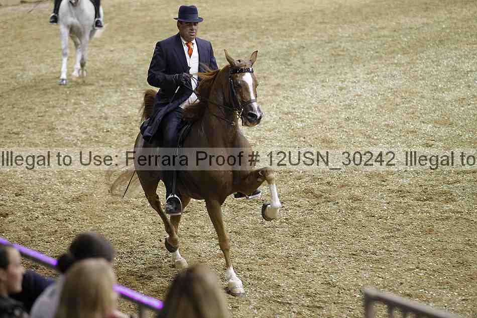 Proof 12usn_30242