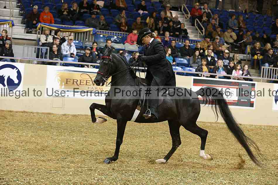 Proof 12usn_30246
