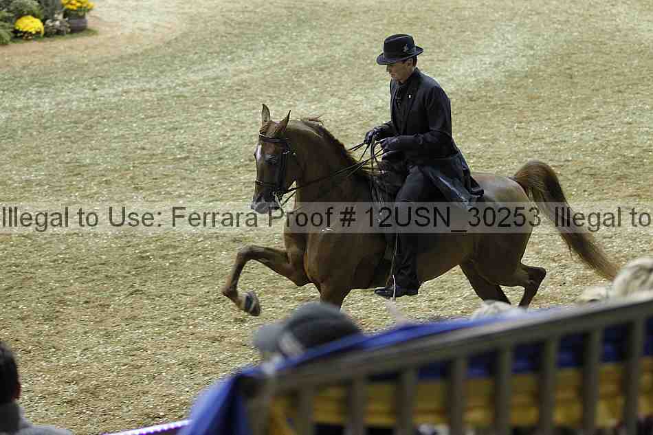 Proof 12usn_30253