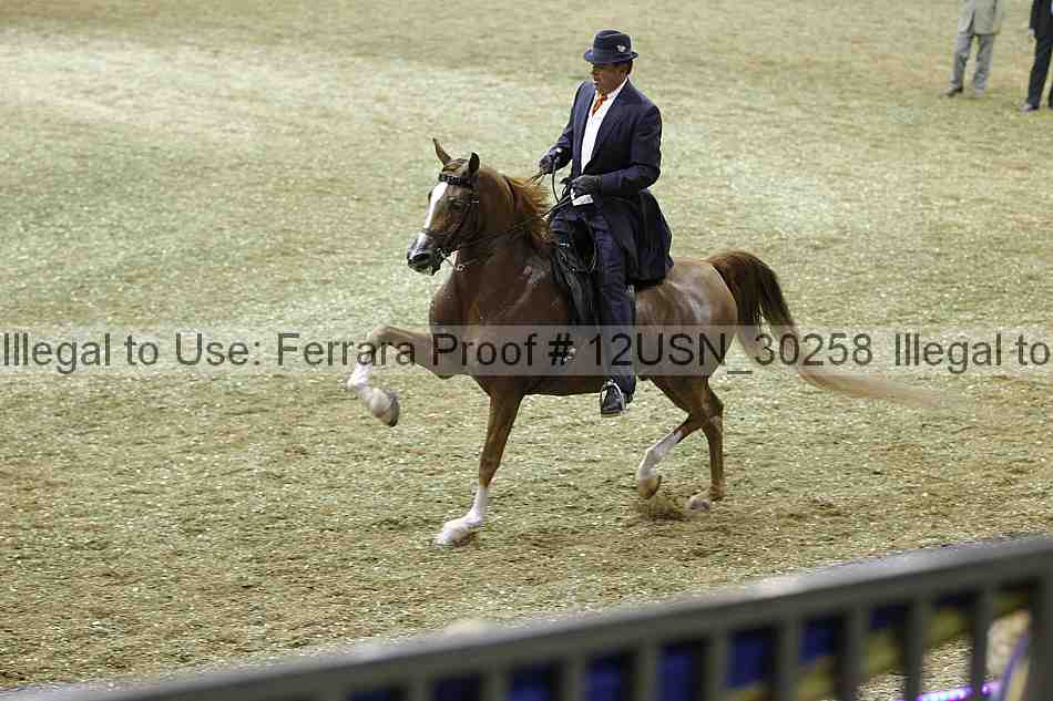 Proof 12usn_30258