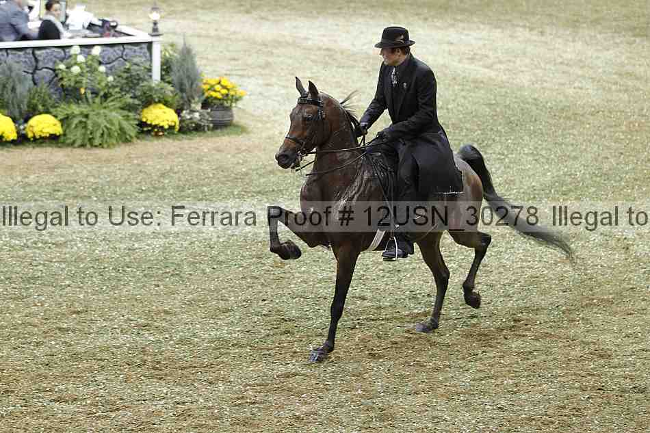 Proof 12usn_30278
