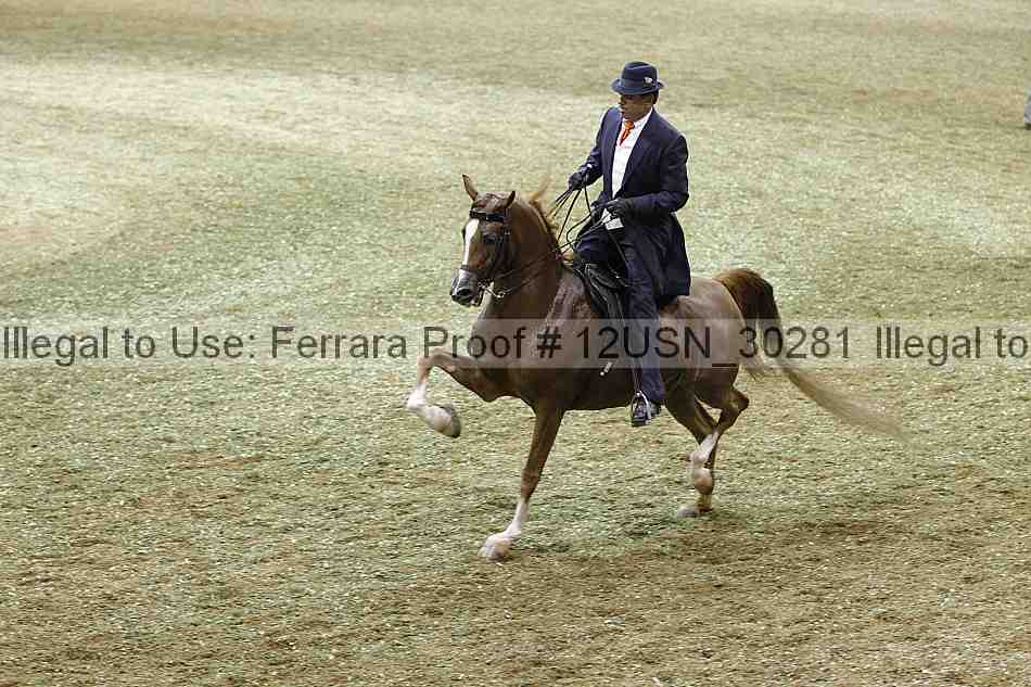 Proof 12usn_30281