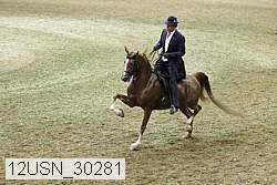 12usn_30281 proof