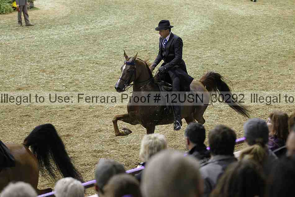 Proof 12usn_30292