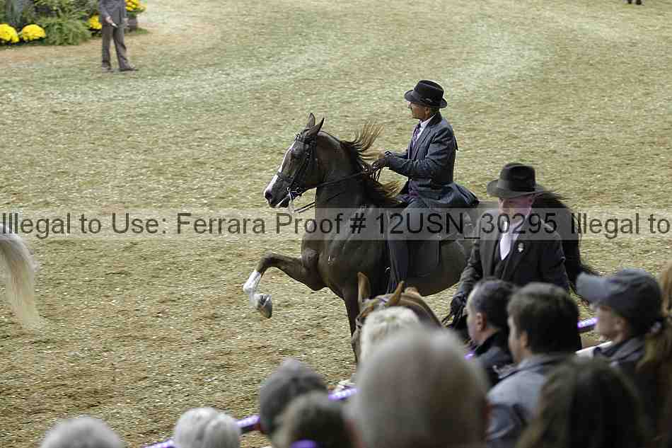 Proof 12usn_30295