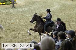 12usn_30295 proof