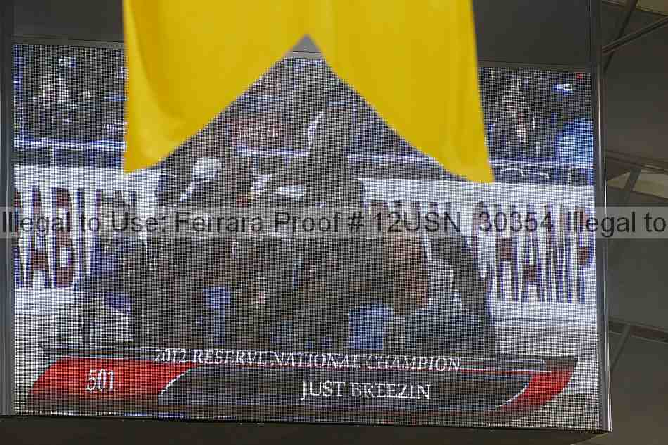 Proof 12usn_30354