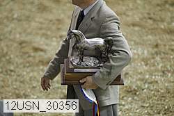 12usn_30356 proof