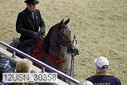 12usn_30358 proof