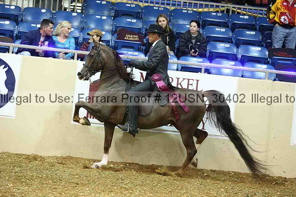 Proof 12usn_30402