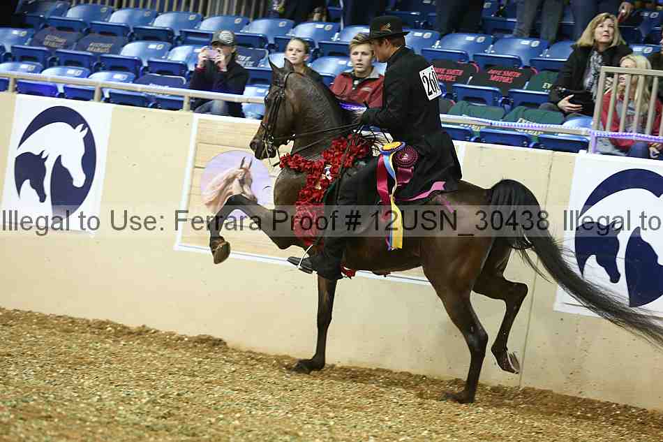 Proof 12usn_30438