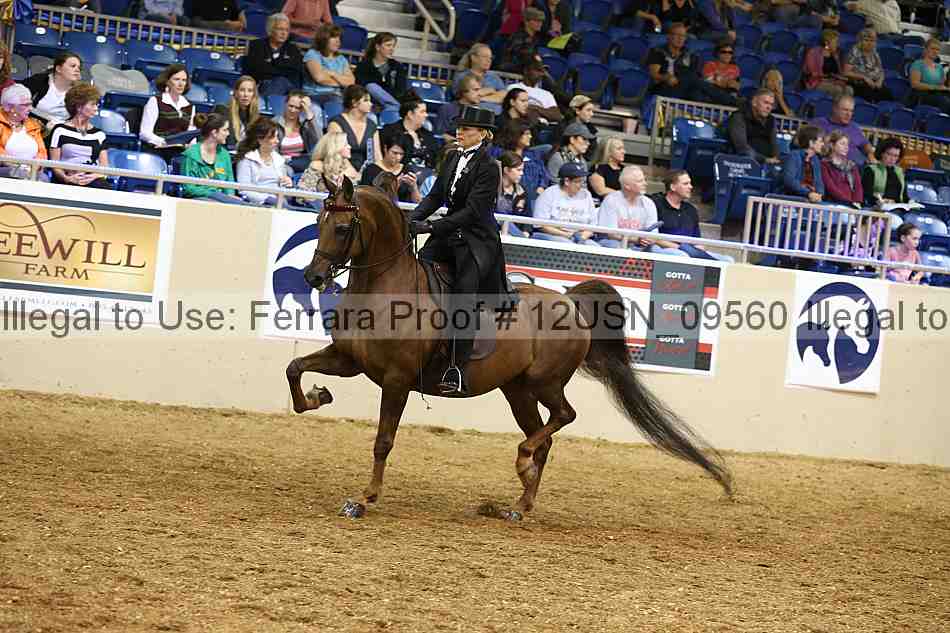 Proof 12usn_09560