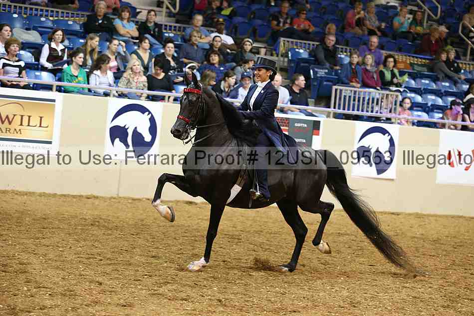 Proof 12usn_09563