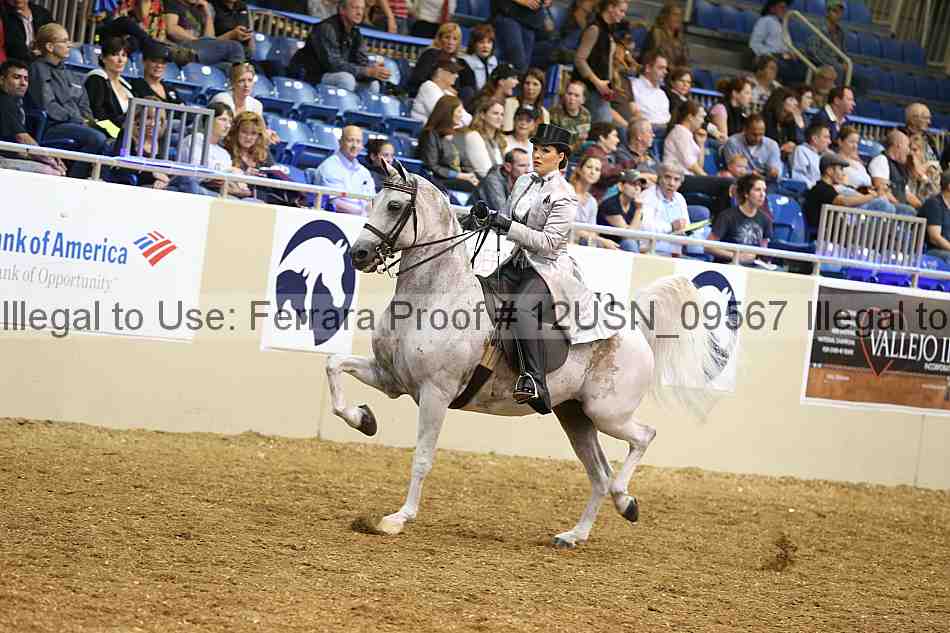 Proof 12usn_09567
