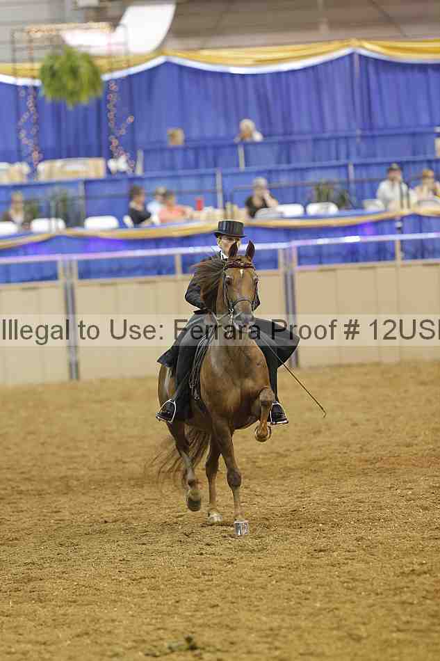 Proof 12usn_09573