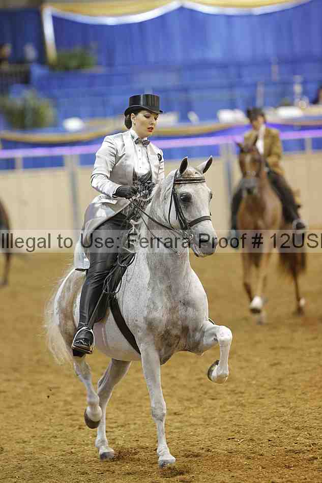 Proof 12usn_09576