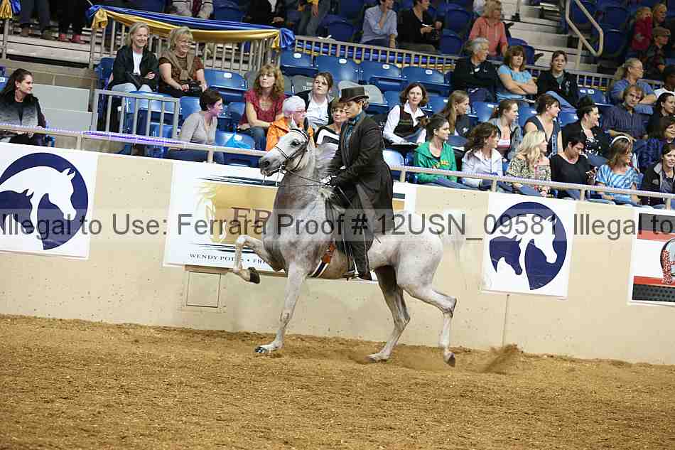 Proof 12usn_09581