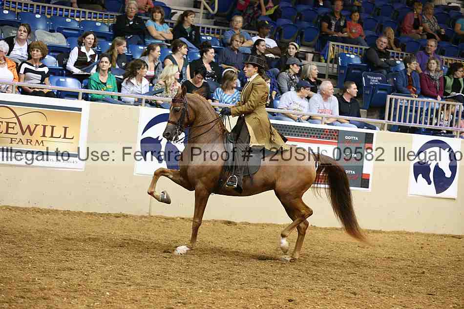 Proof 12usn_09582