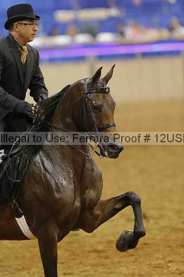 Proof 12usn_09583
