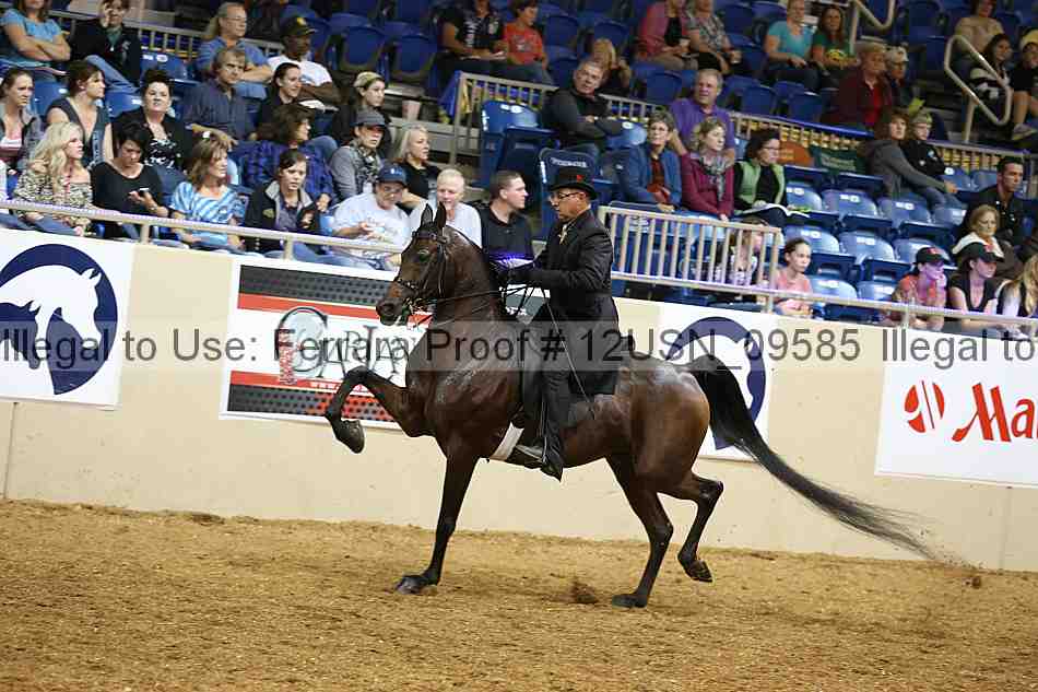 Proof 12usn_09585