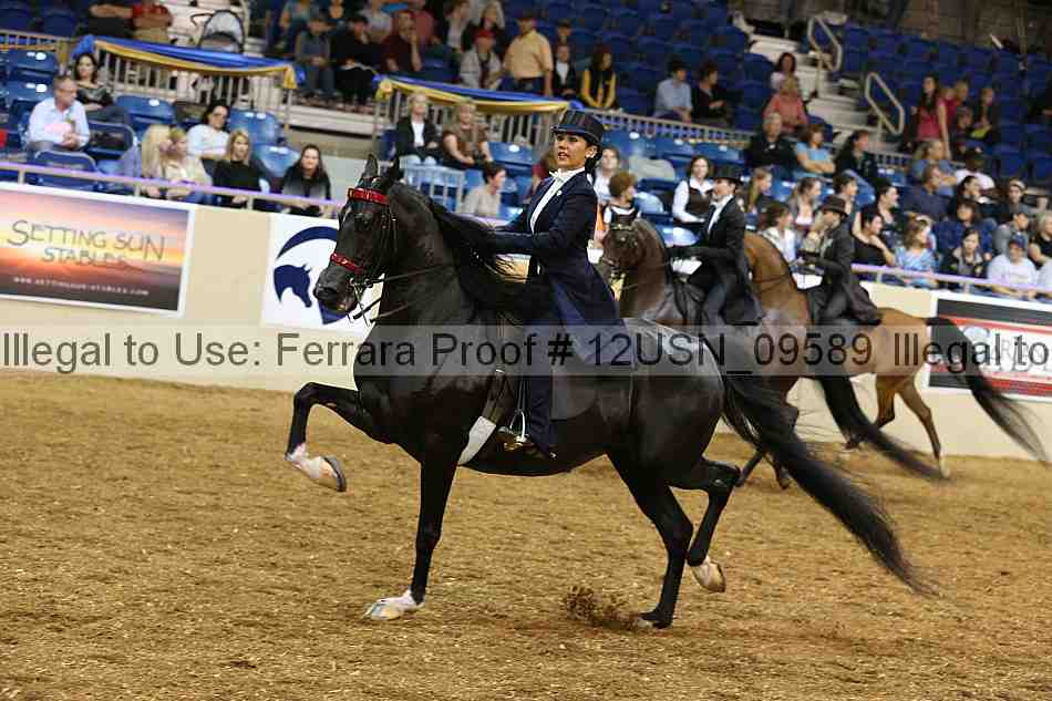 Proof 12usn_09589