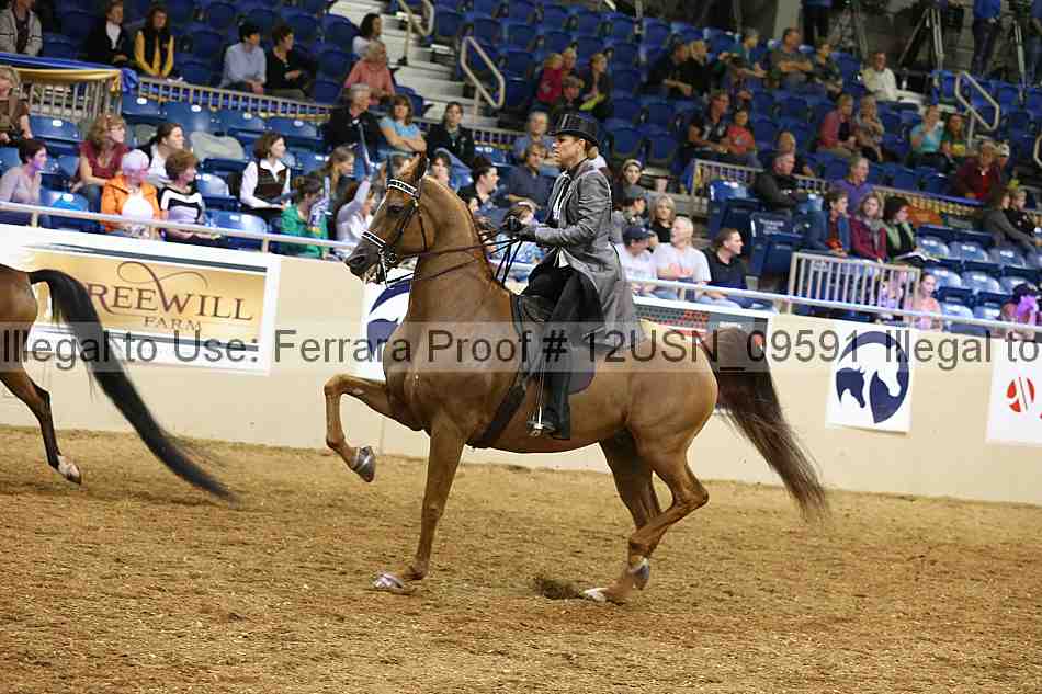 Proof 12usn_09591