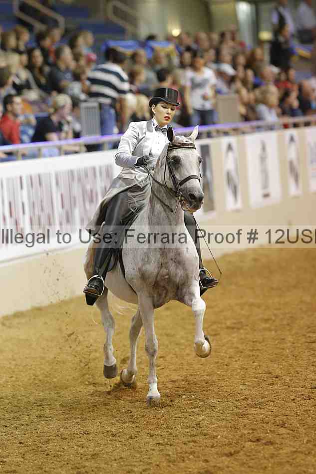 Proof 12usn_09593