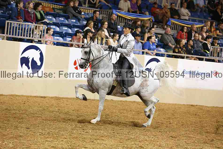 Proof 12usn_09594