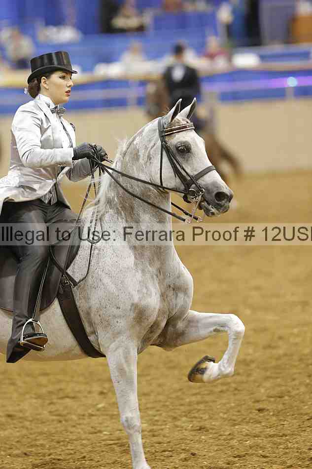 Proof 12usn_09595
