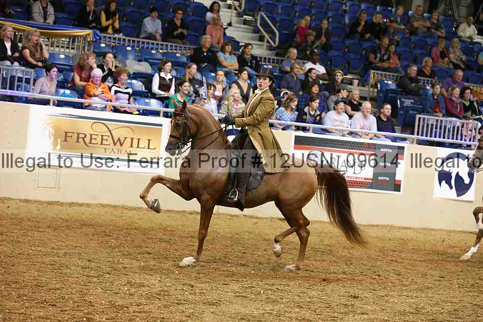 Proof 12usn_09614