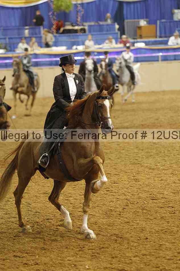 Proof 12usn_09615