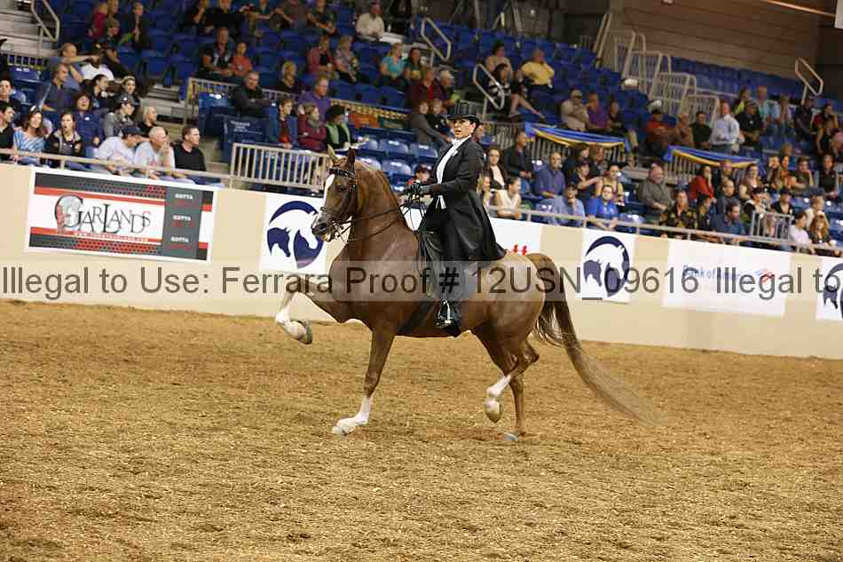 Proof 12usn_09616