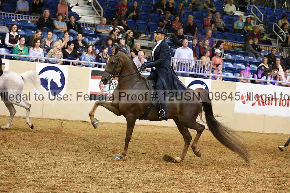 Proof 12usn_09645