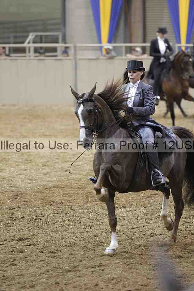 Proof 12usn_09668