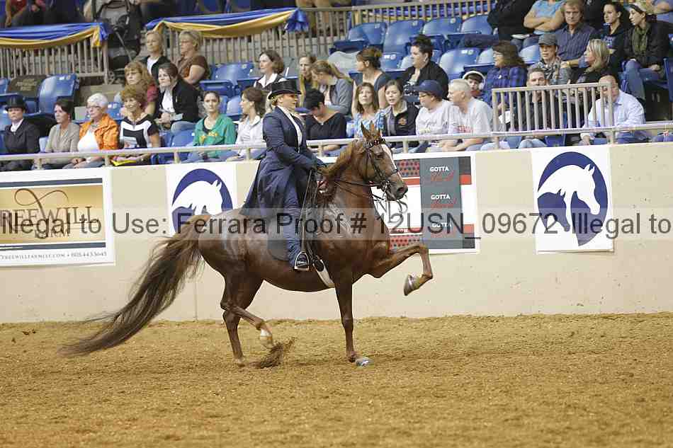 Proof 12usn_09672