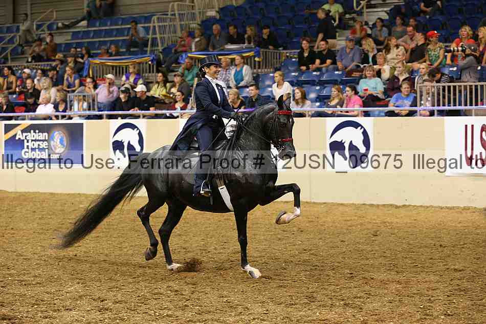 Proof 12usn_09675