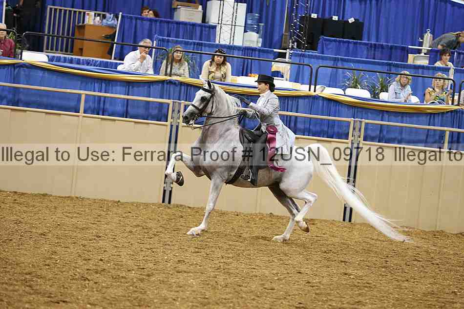 Proof 12usn_09718