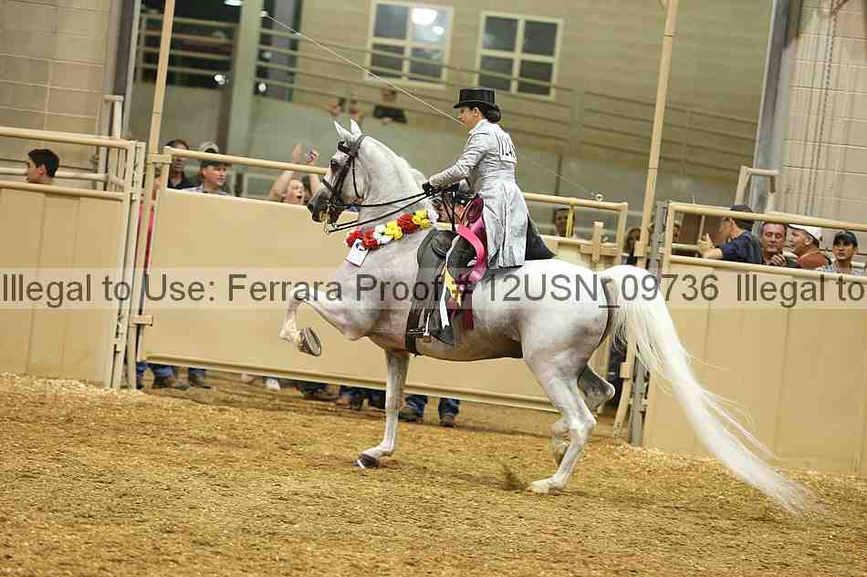 Proof 12usn_09736