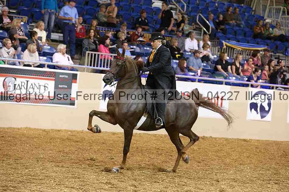 Proof 12usn_04227